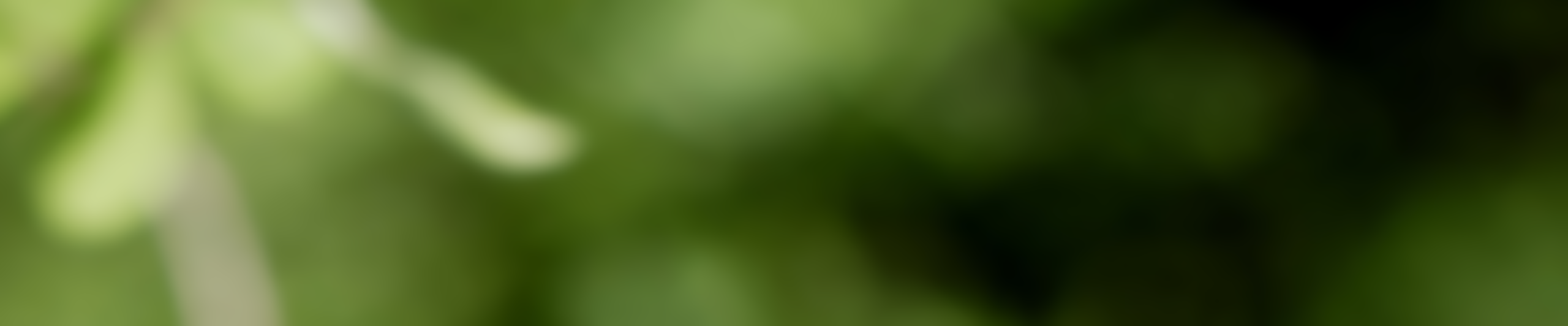 顶部分类banner 具体五行顶部 五行 副本 2 scaled