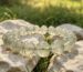 Natural Green Rutilated Quartz Bracelet